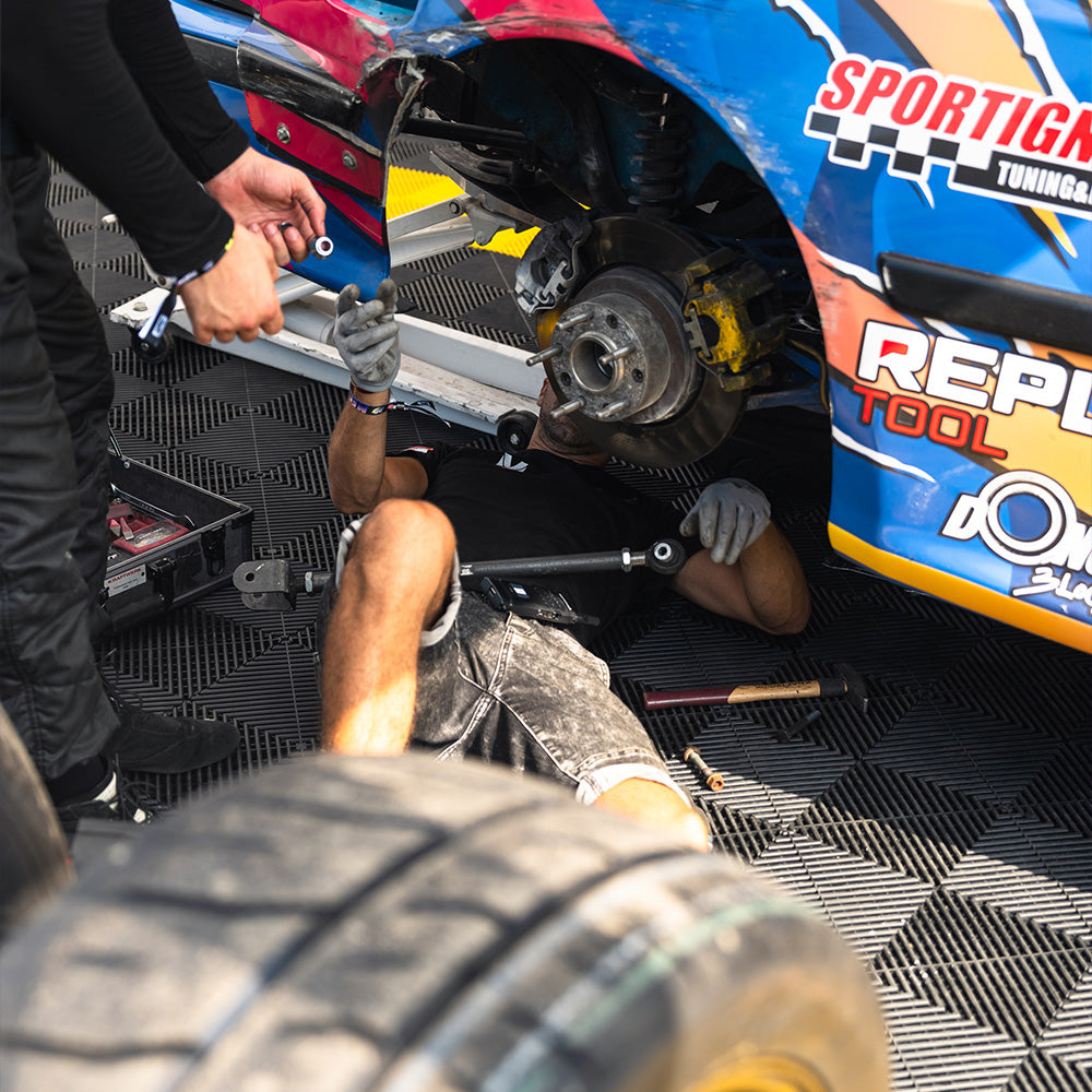 Paddock Walk Experience