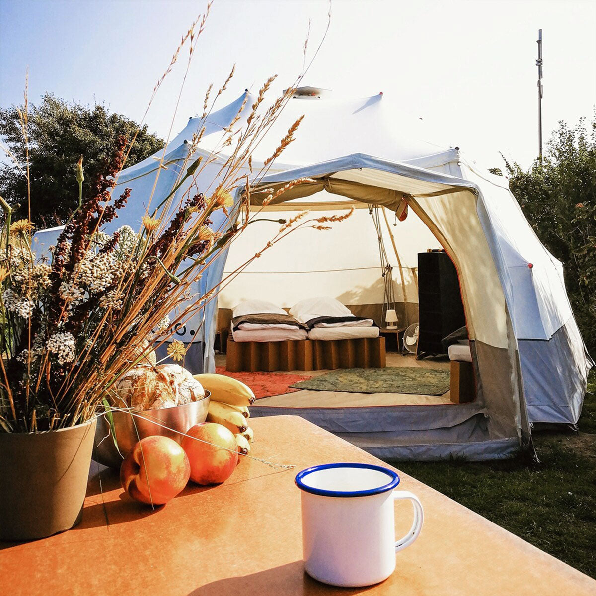 Drift Island Premium Tent