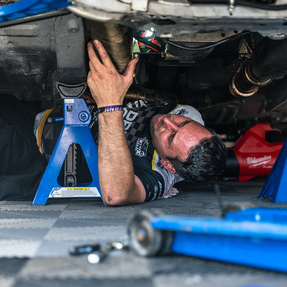 Paddock Walk Experience